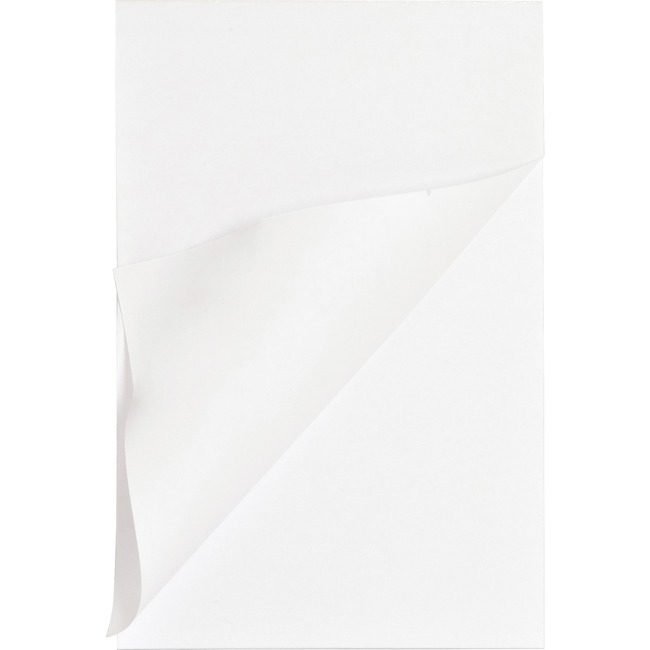 Business Source Pad Memo 4X6 Plain 100SH We BSN65901