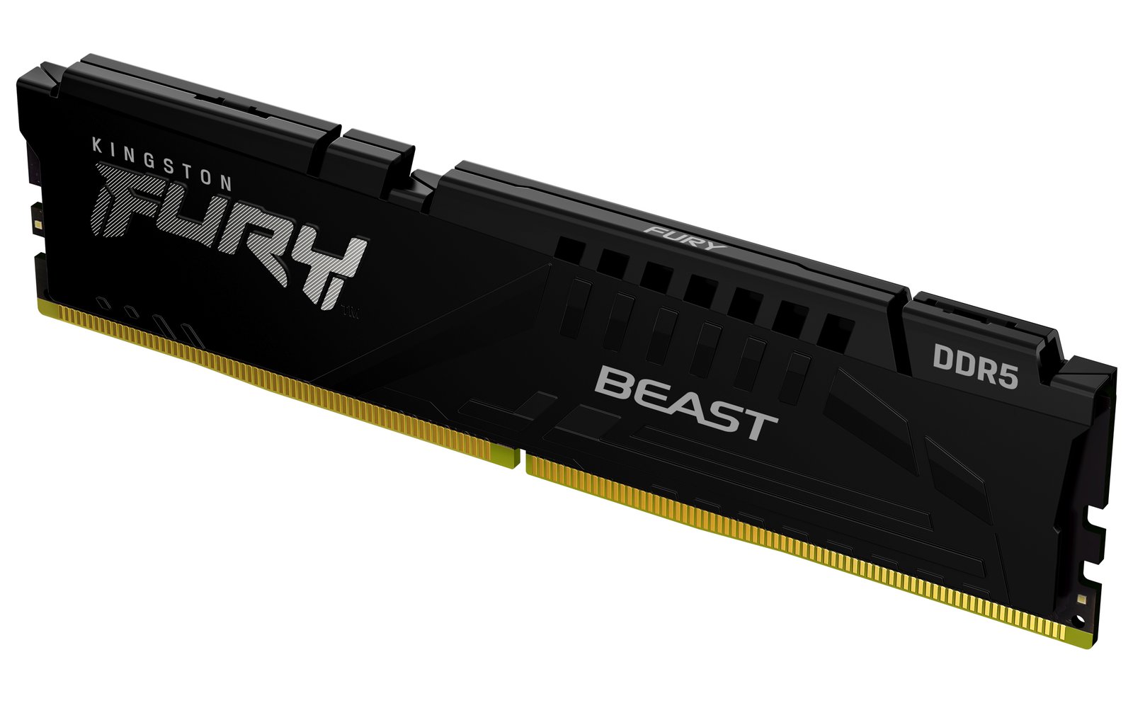 Kingston Technology FURY Beast 8GB 6000MT/s DDR5 CL36 DIMM Black EXPO KF560C36BBE-8